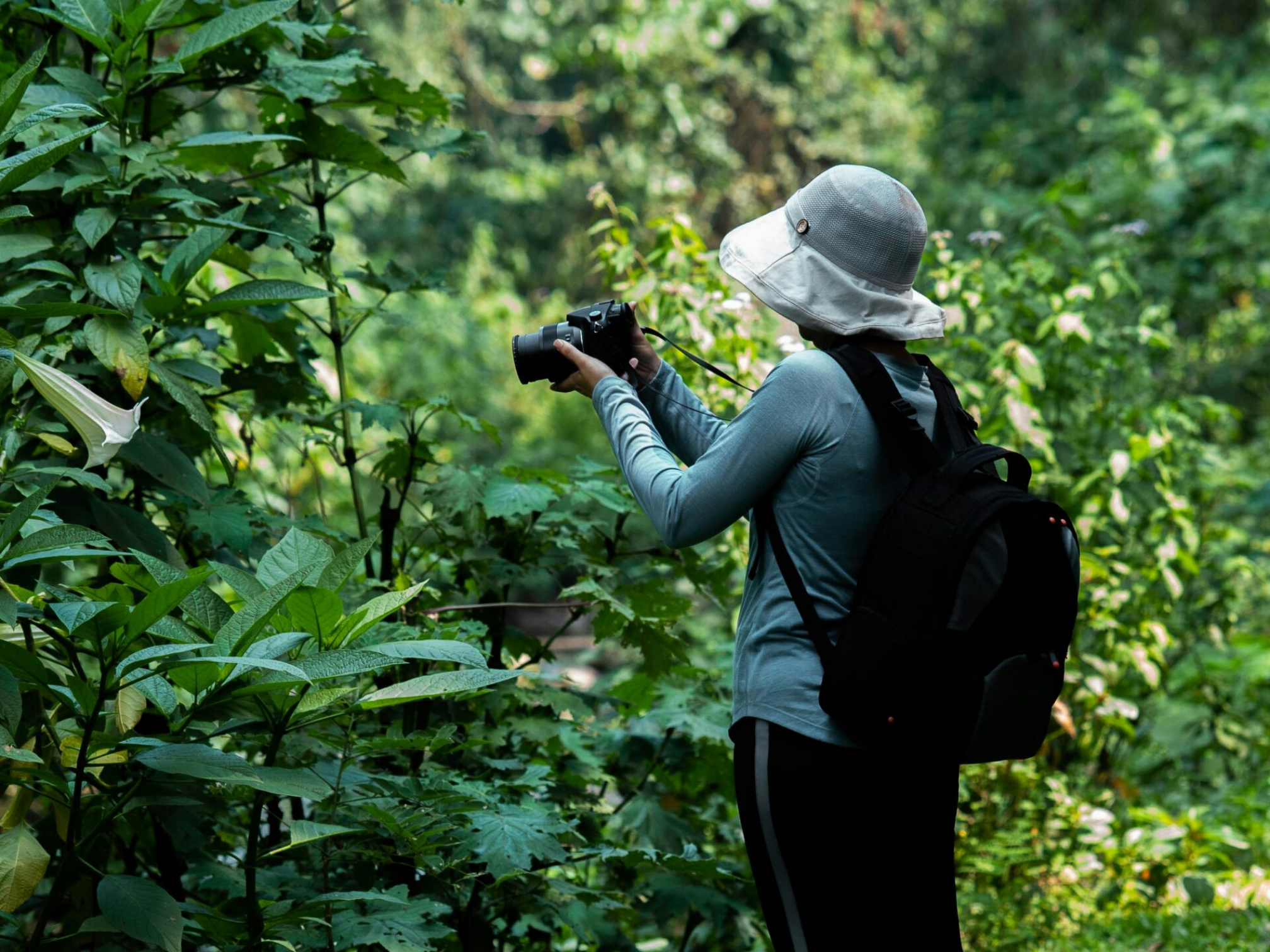生物多様性・サーキュラーエコノミーの事例:総合電機メーカーさま