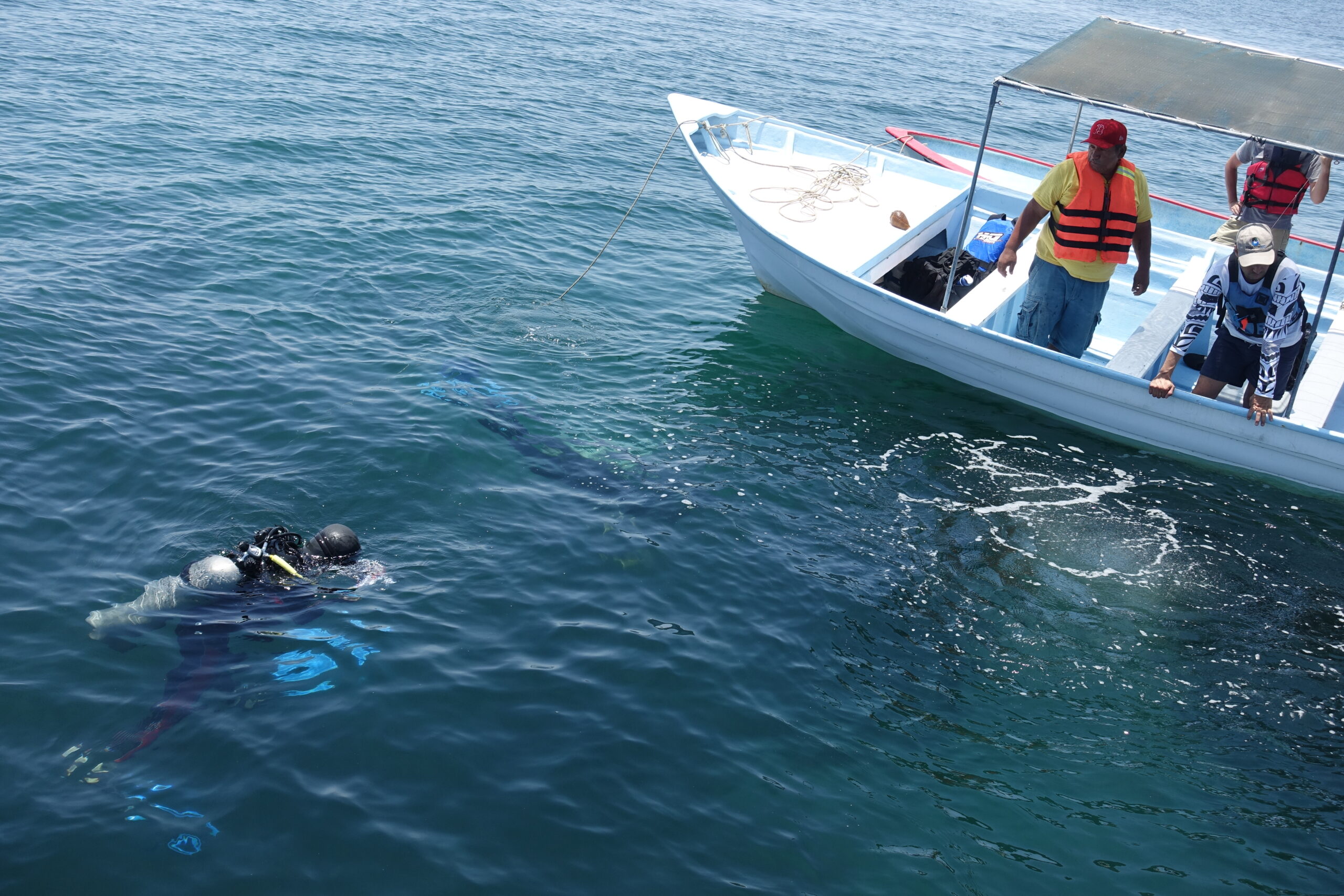 環境技術・製品海外展開
メキシコ