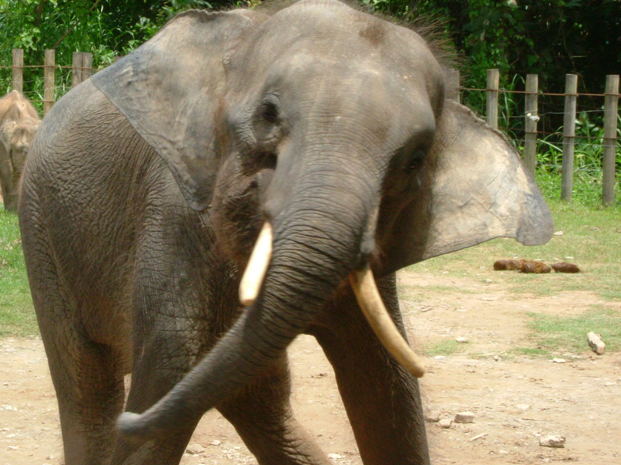 インパクト評価事例：マレーシアの生物多様性・生態系保全の達成度を評価