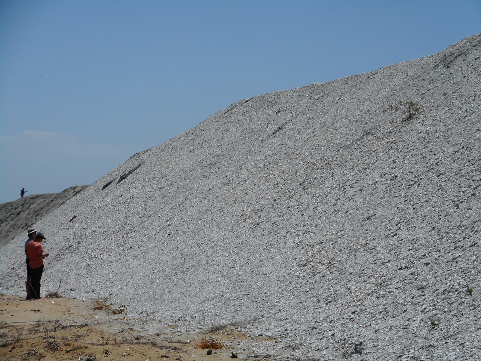 サステナブルビジネスの海外展開の事例；岡山県倉敷市の中小企業が製造する人工漁礁でメキシコの社会課題を解決